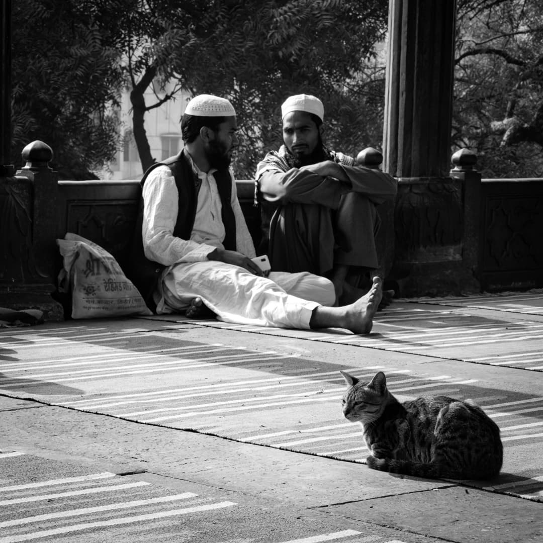 Two men, and a cat who had heard it all before